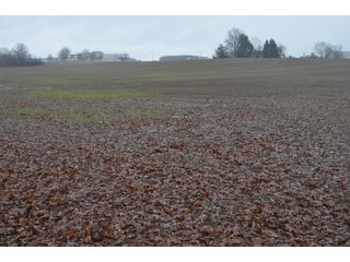 Property photo 32 - FARM AUCTION - 60.5+/- ACRES IN 5 TRACTS IN ALLEN COUNTY, INDIANA